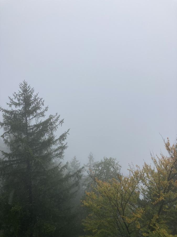 Riggwaldhexen