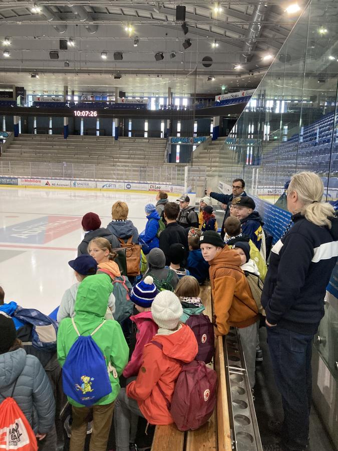 Forza Ambri